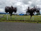 Fuller Moving Services photo 6