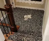 Carpet Mart - Louisville, Kentucky photo 6