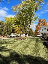 Gladiator SOD and Landscaping Knoxville photo 8