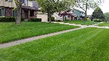 Excel Lawns & Landscape photo 5