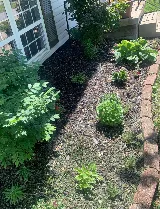 LawnStarter Landscaping photo 3