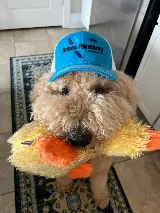 James Plumbing Company