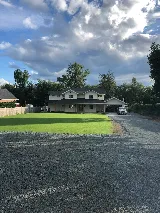 Silver maple contracting photo 5