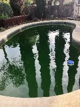 Perfect Pools photo 3