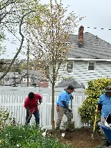 Gonzalez & Sons Landscaping Inc photo 8
