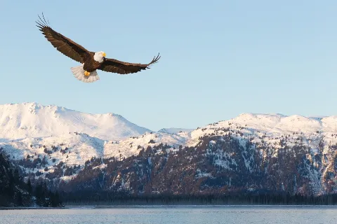 Diamond Heating & AirTemp Alaska in Anchorage