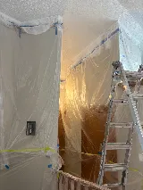 The Best Paint Plus Ltd photo 2