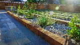 Quality Green Gardening and Landscaping photo 8