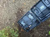 Bulwark Exterminating photo 3