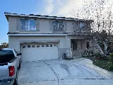 VIP Home Painting Service photo 3