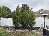 Blaska Landscaping photo 8