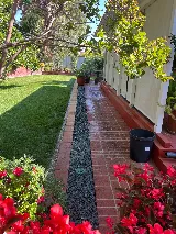 Gmg Landscaping & Gardening services photo 5