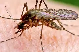 ABC Insect Control photo 7