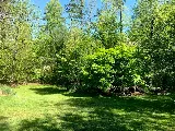 BuckTom Services, LLC photo 3