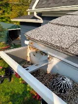 JP Pest Services photo 8