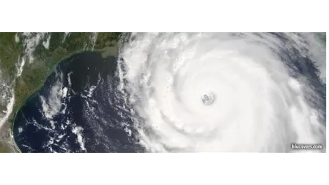 American Hurricane Shutters photo 1