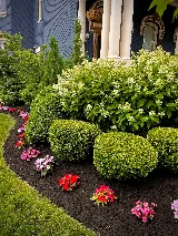The Ohio Landscaping Lawn Care Company photo 6
