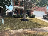 Semper Fi Landscaping & construction photo 3