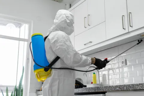 Portland Shield Pest Control photo 1