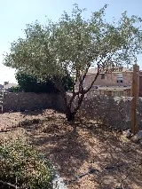 Complete Lawn Care photo 3