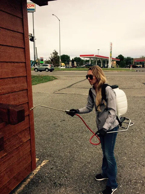 Beeman Pest Solutions in Billings