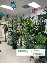 Green Landscape Nursery photo 5