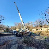 Perfect Landscape Tree & Services Inc photo 2