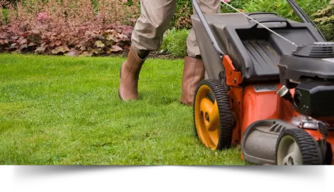 Jason's Lawn Care & Landscaping Inc photo 1