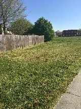 Affordable Cuts photo 4