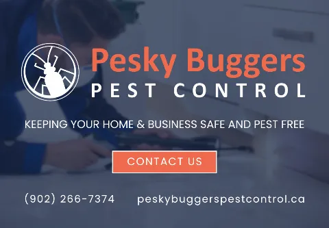 PESKY BUGGERS PEST CONTROL LTD in Halifax