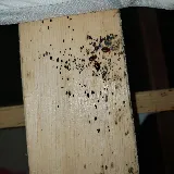 Smith's Pest Control