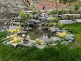 Richmond Landscaping & Design photo 3
