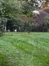Delaware Lawn Crew LLC photo 7