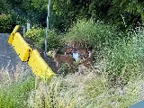 Sentry Pest Control - Cobble Hill BC photo 3