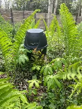 ASAP Pest Control photo 2
