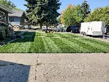 Lawntana photo 7