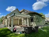 Painters Pro photo 6