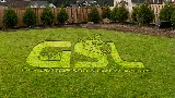 Gladiator SOD and Landscaping Knoxville