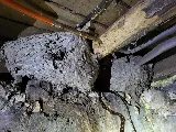 Optimum Pest Pros photo 3