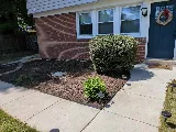 J.N. King Lawn Care photo 7