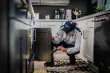 Fox Pest Control Rochester