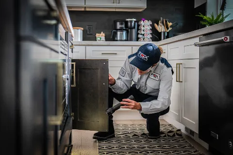 Fox Pest Control Rochester photo 1