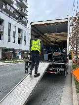 Panda Moving photo 4