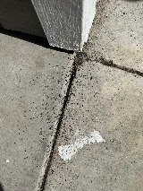 Summit Integrated Pest Management photo 6