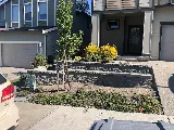Alvin's Landscaping photo 3