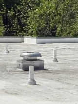 ROOF TIGER photo 4