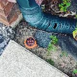 The Spider Guys photo 8