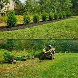 Steel City Landscape, Inc. photo 3