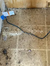 Pestlink Pest Control Edmonton Inc photo 5