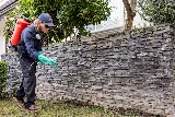 Corky's Pest Control photo 4